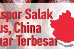 Volume Ekspor Salak Terus Naik, China Penggemar Terbesar