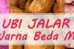 Ubi Jalar, Beda Warna Beda Manfaat