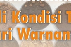 Kenali Kondisi Tanah Dari Warnanya