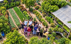 Menanam Sehat, Merawat Jiwa: Cerita Inspiratif Urban Farming Organik Swakaton Asri di Tengah Kota Jogja