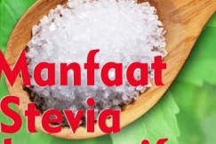 Kaya Manfaat, Daun Stevia Jadi Altrenatif Pengganti Gula