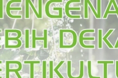 Mengenal Lebih Dekat Vertikultur