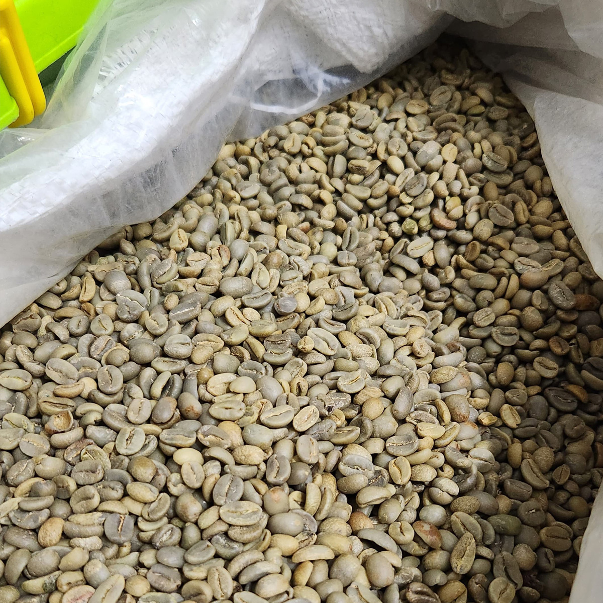 Kopi Arabika Temanggung