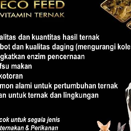 ECO FEED (vitamin ternak)